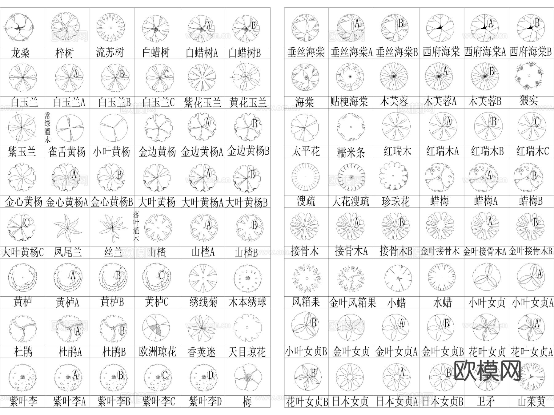 2025年最新北部园林景观CAD图集