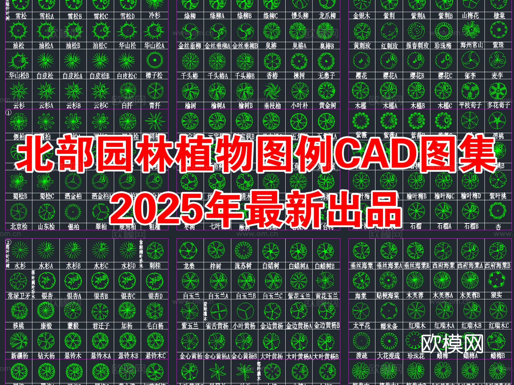 2025年最新北部园林景观CAD图集