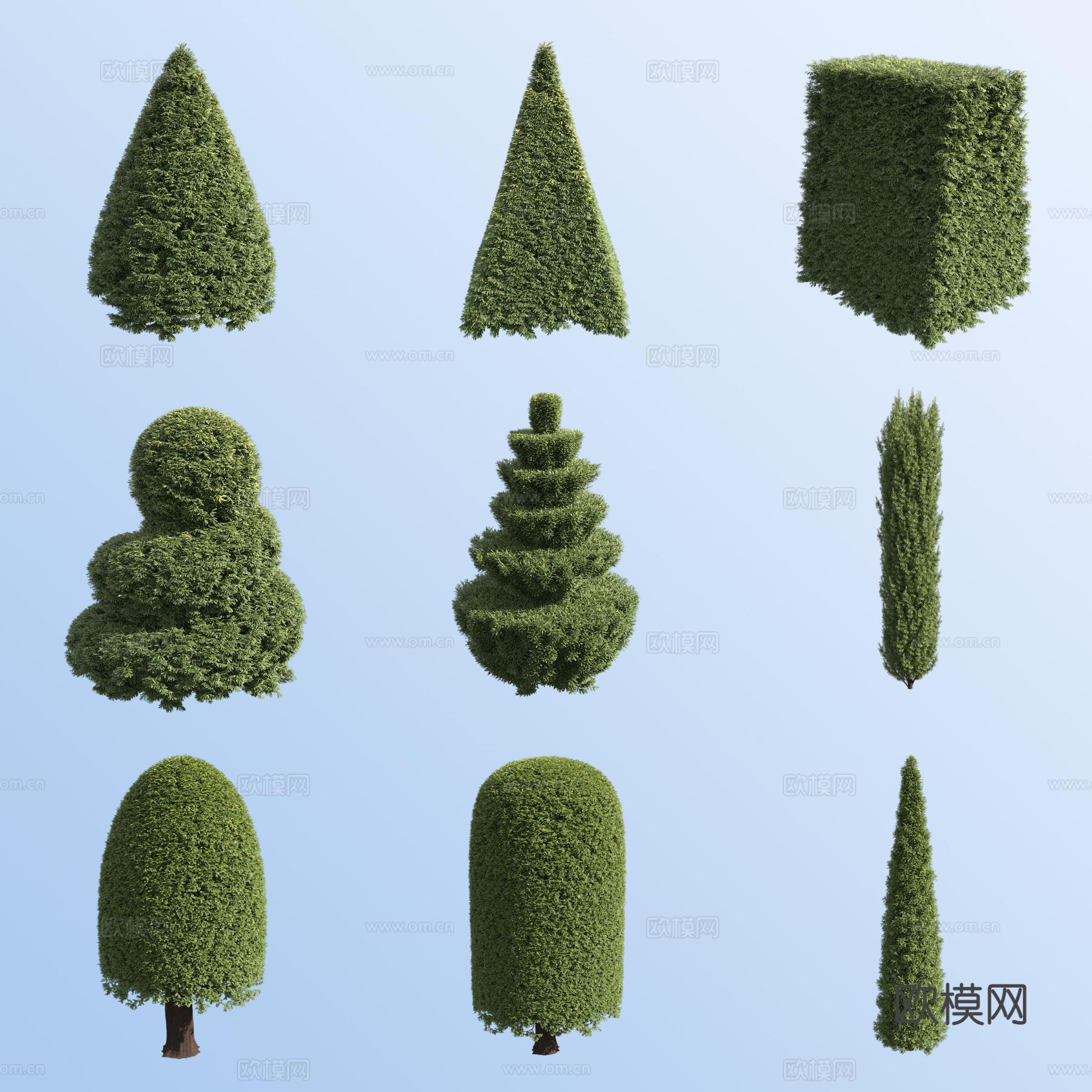 紫杉红豆杉园林灌木免费3d模型