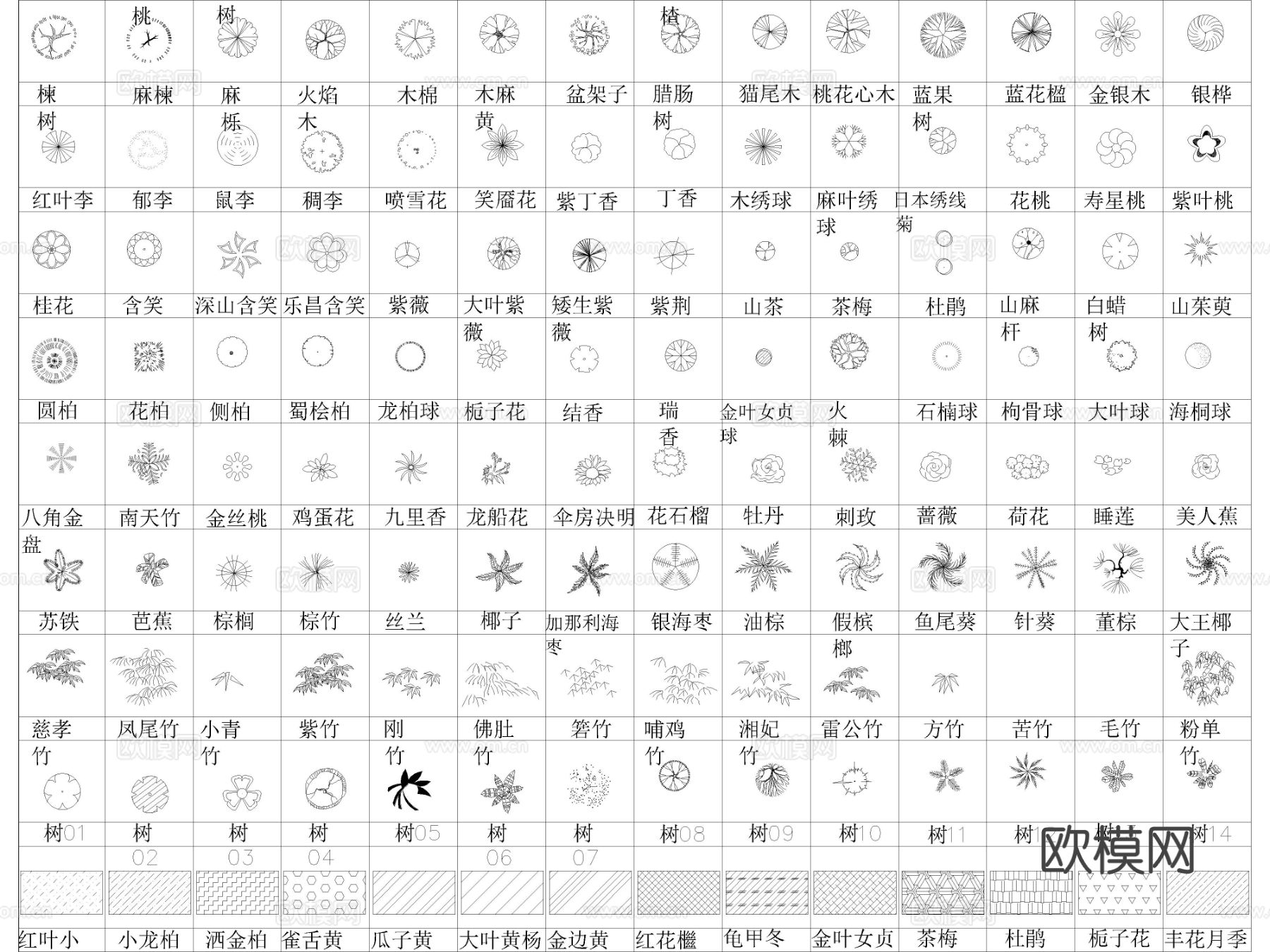 2025年最新常用园林景观植物植被图例cad图库