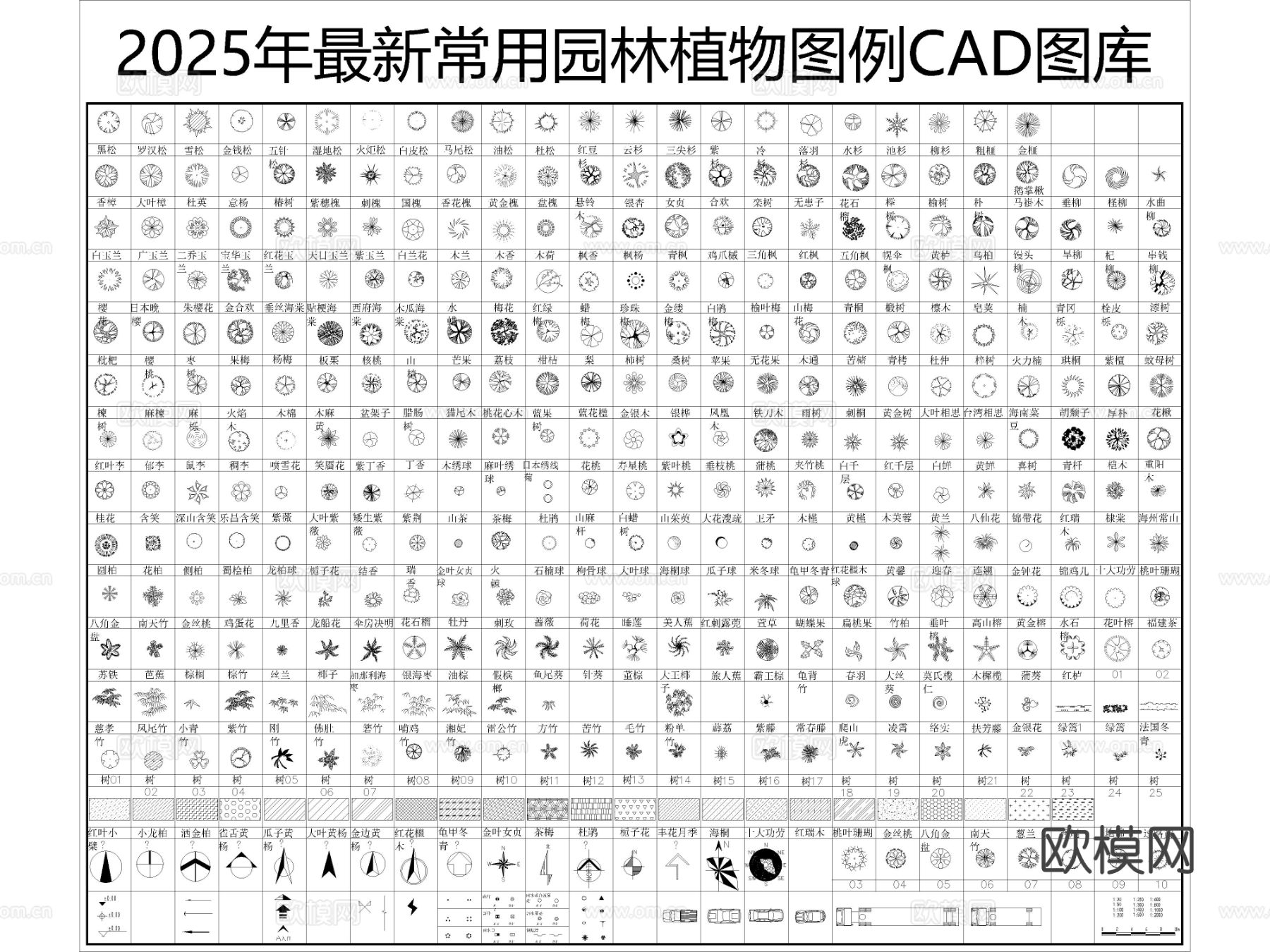 2025年最新常用园林景观植物植被图例cad图库