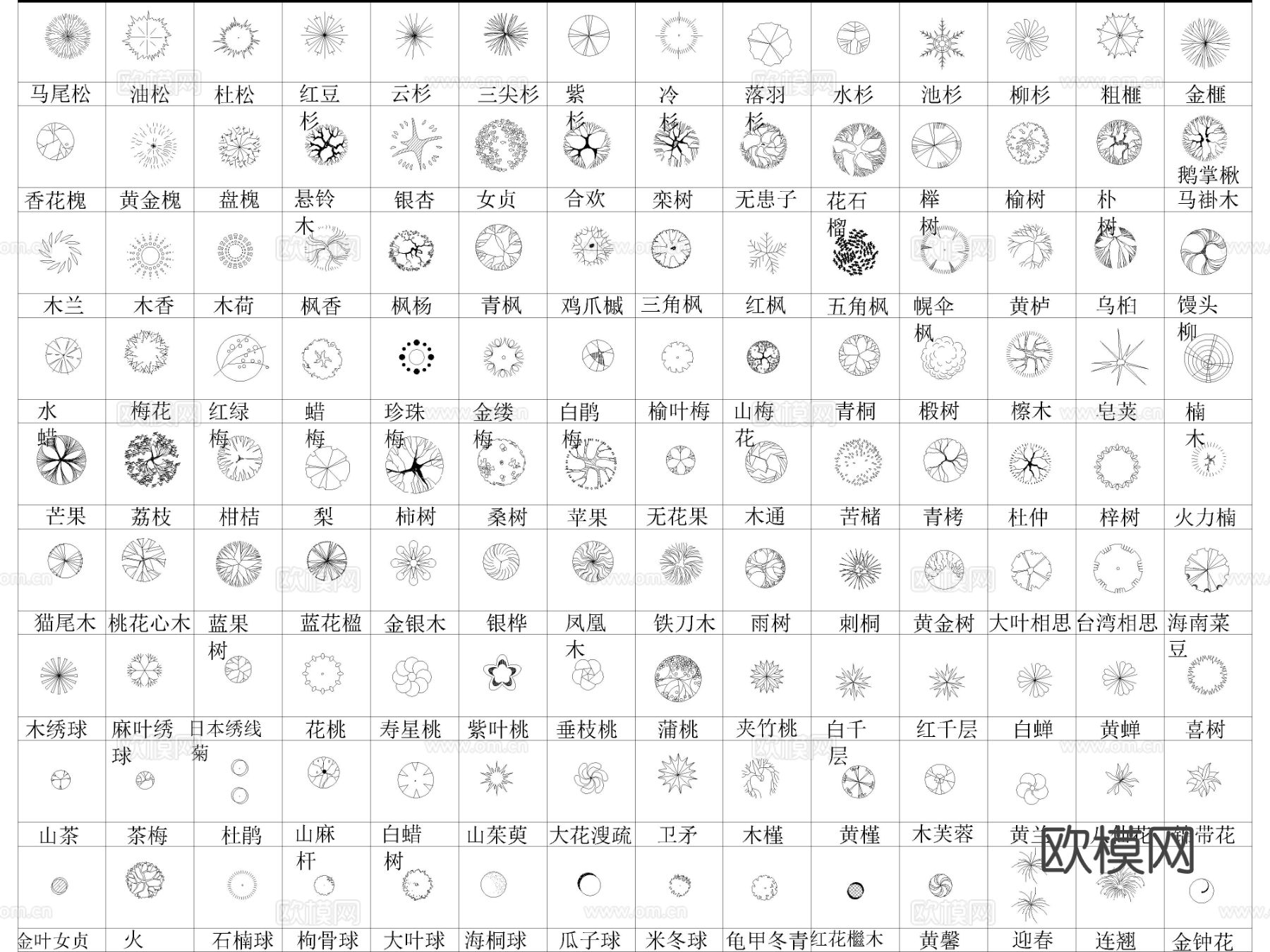 2025年最新常用园林景观植物植被图例cad图库