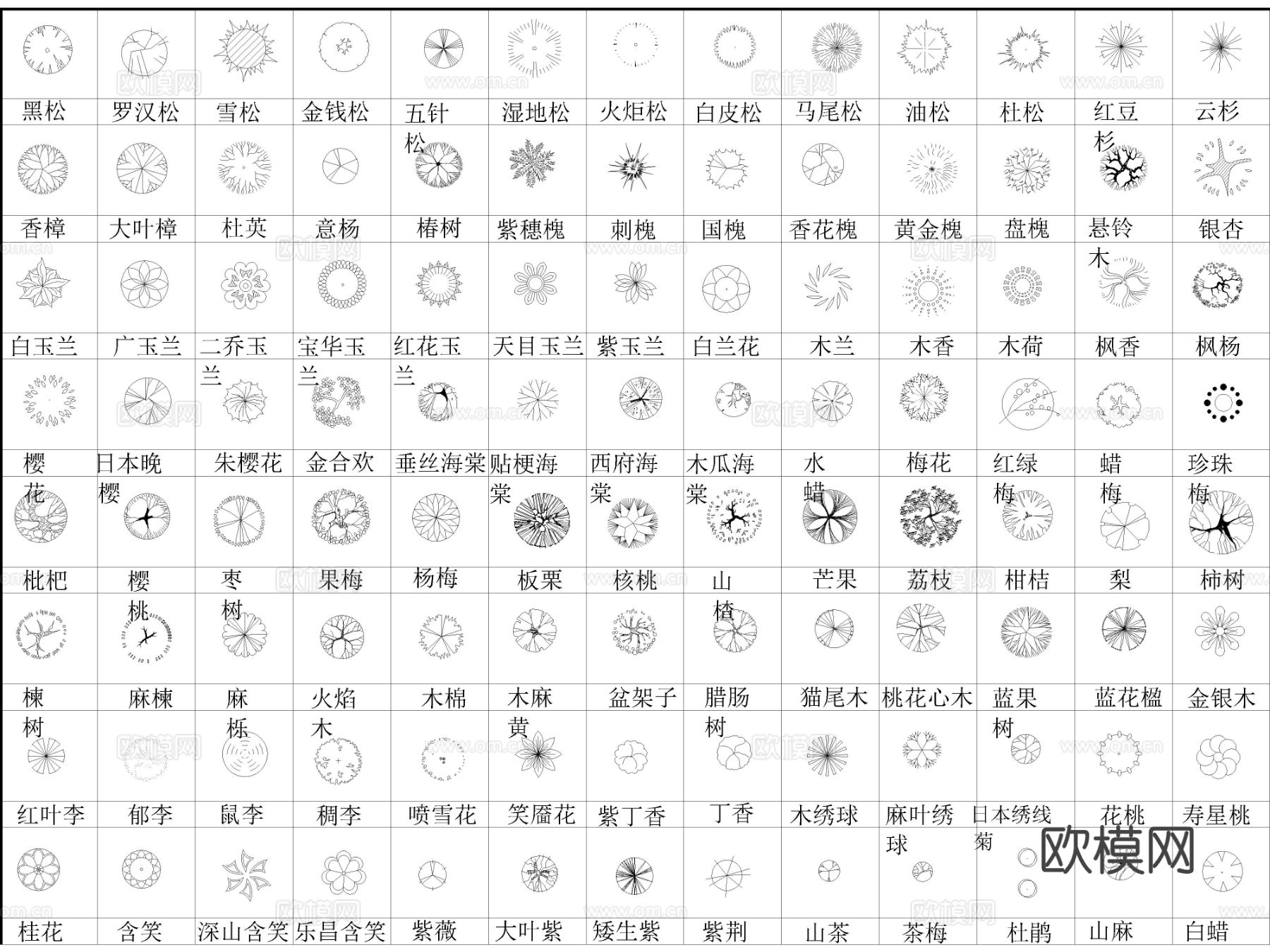 2025年最新常用园林景观植物植被图例cad图库