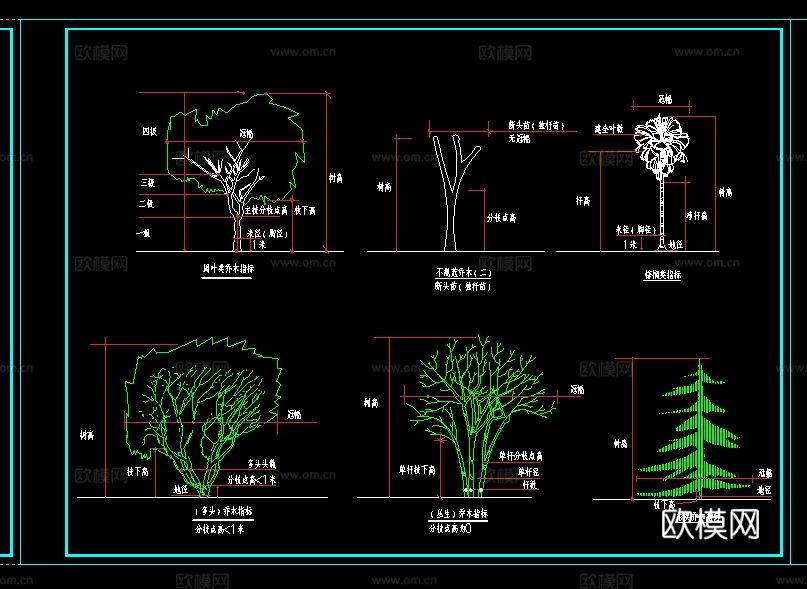 植物 乔木 灌木 地被 栽种 修建大样图