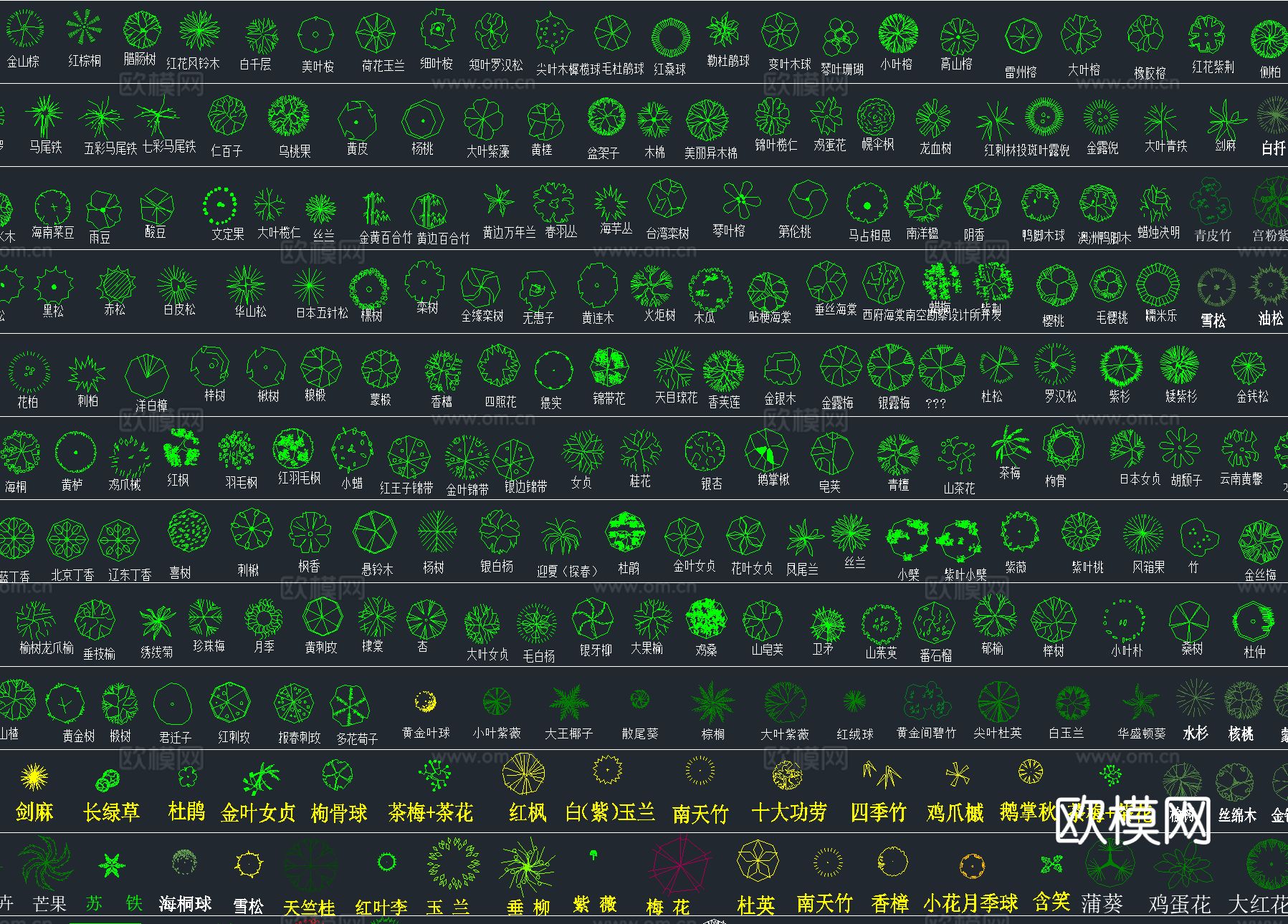 2025年最新超全园林景观 植物植被CAD总图库