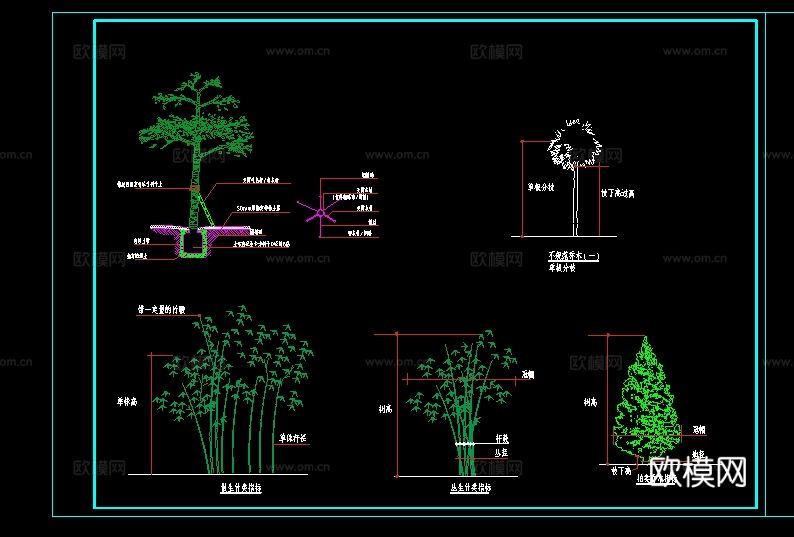 植物 乔木 灌木 地被 栽种 修建大样图