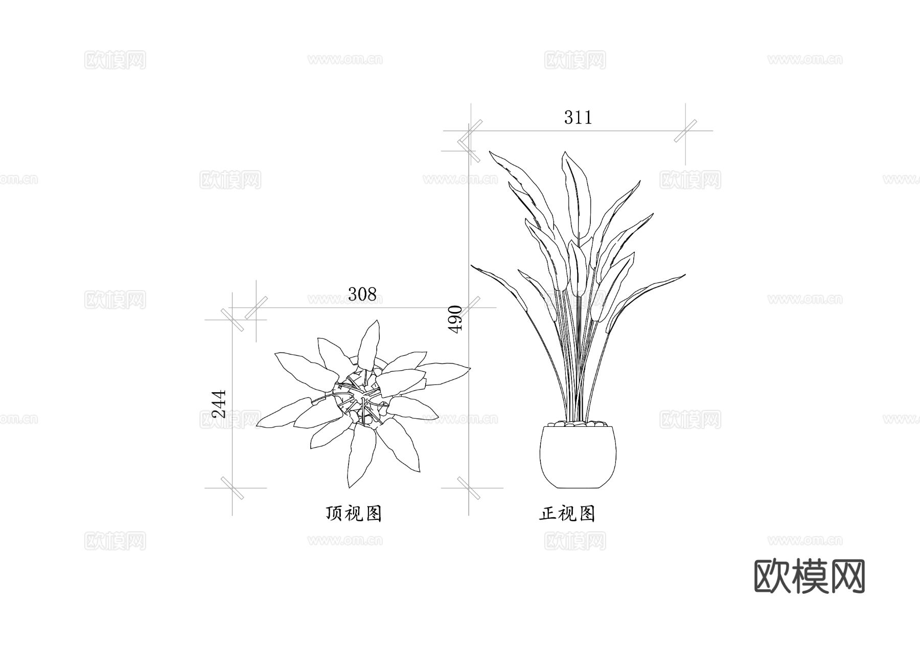 赫蕉属植物 赫蕉 芭蕉科植物CAD图块