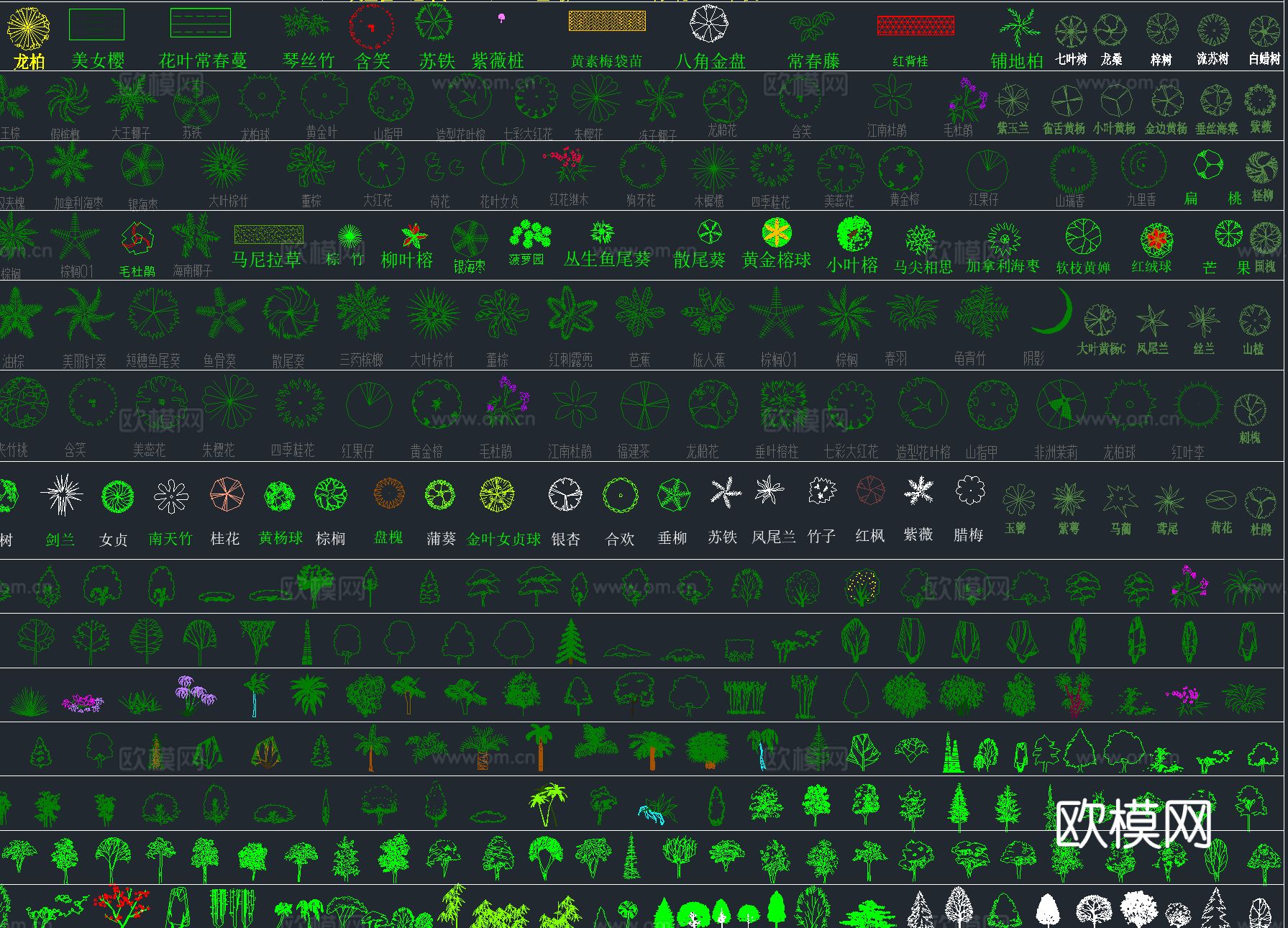2025年最新超全园林景观 植物植被CAD总图库