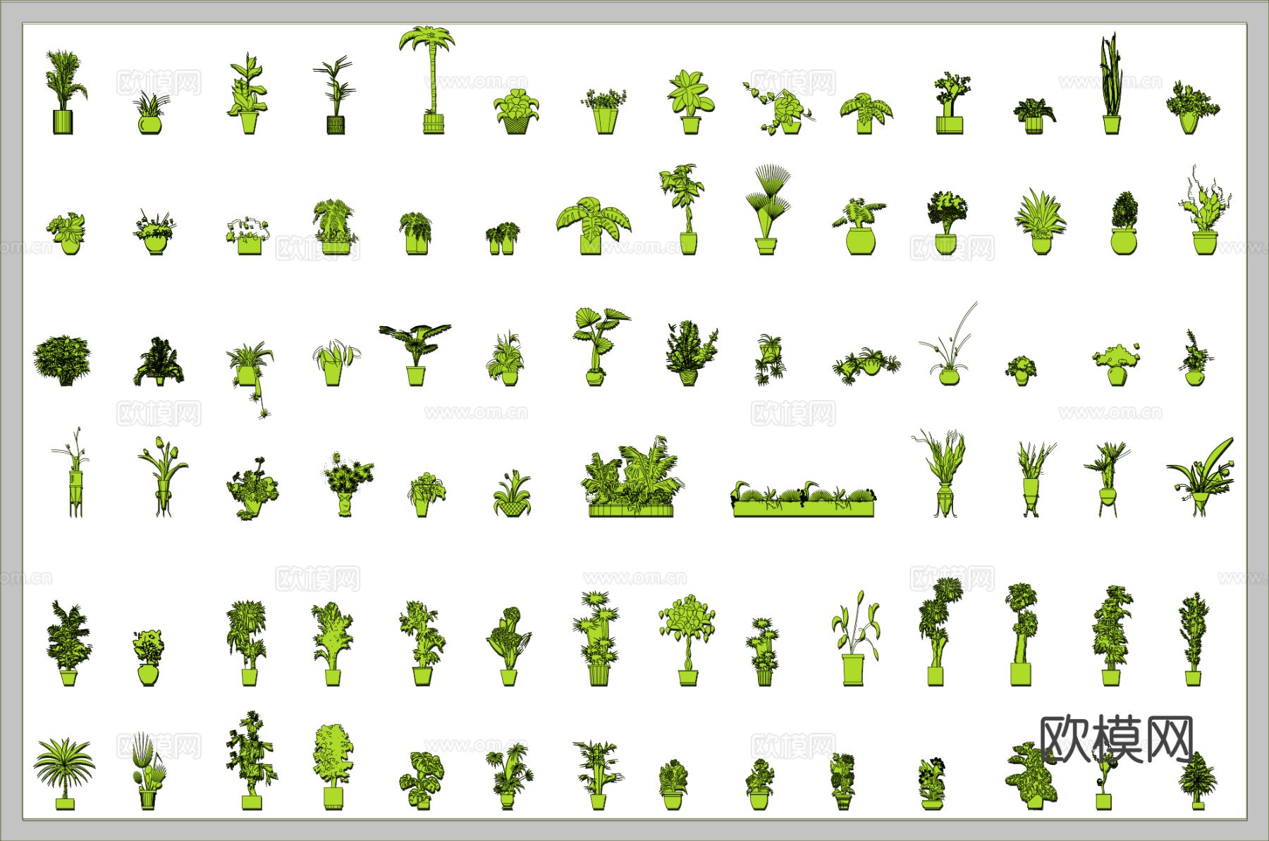 常用盆栽植物cad图库下载（渲染图1）