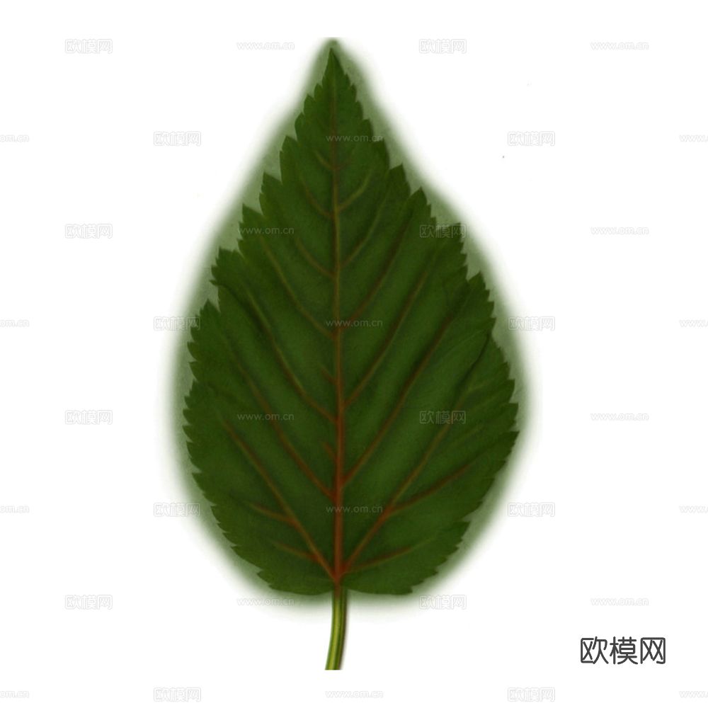 叶子 花叶 植物 花叶2023VR材质下载