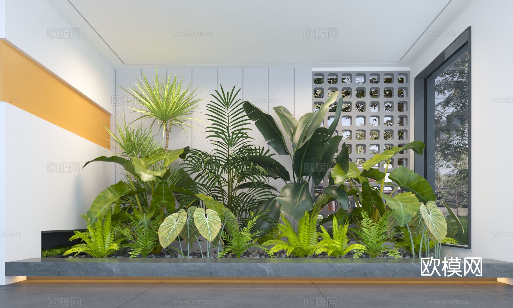 现代庭院植物组合3d模型