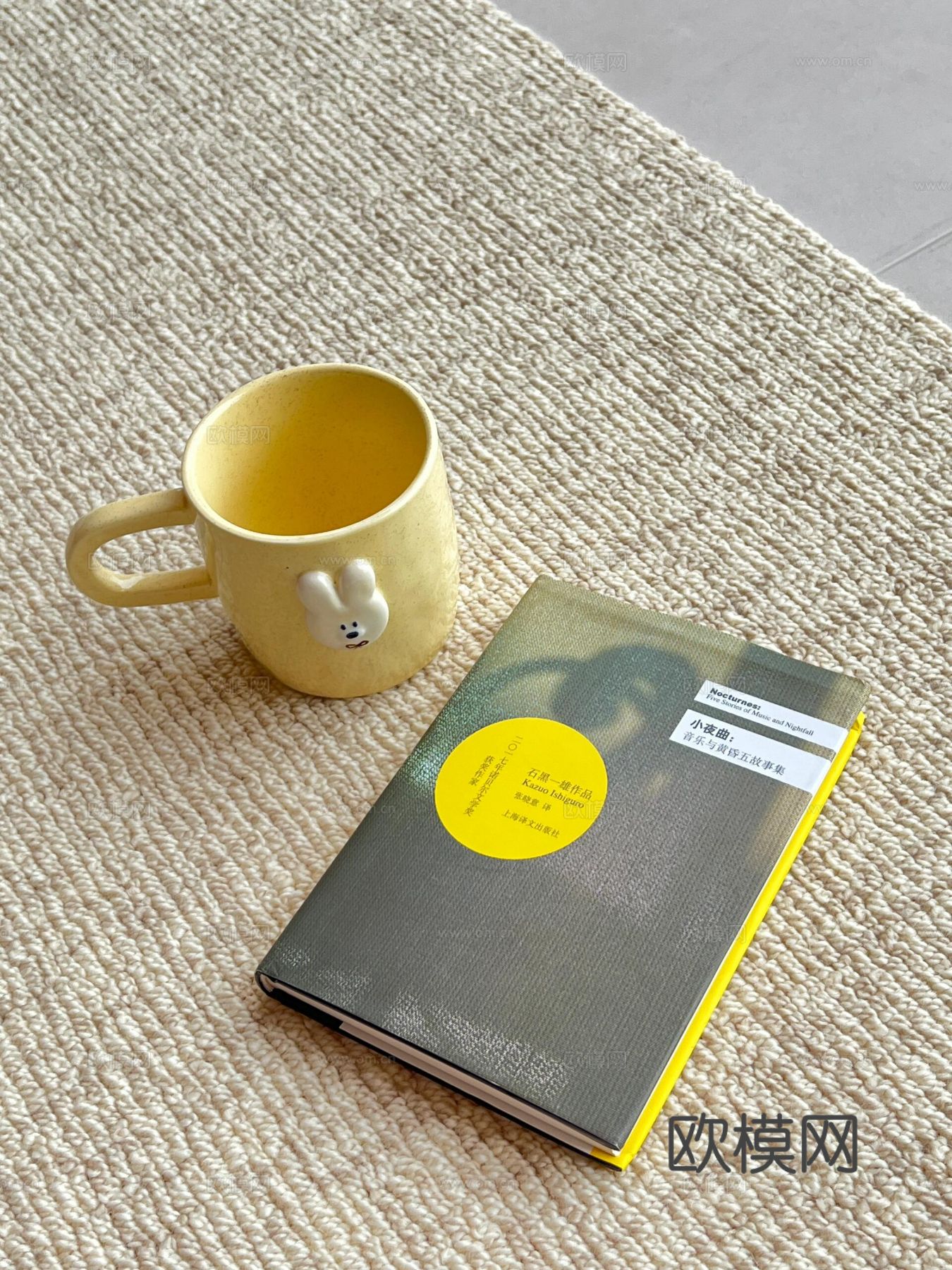 现代家装设计 客厅卧室餐厅 黑白灰 公寓效果图下载（渲染图11）