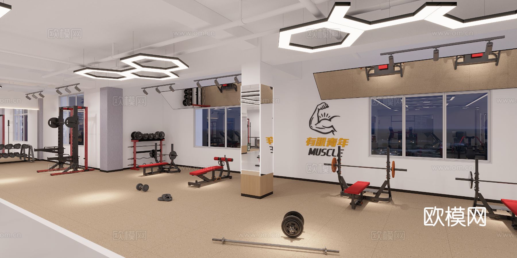 健身房装修效果图下载（渲染图14）