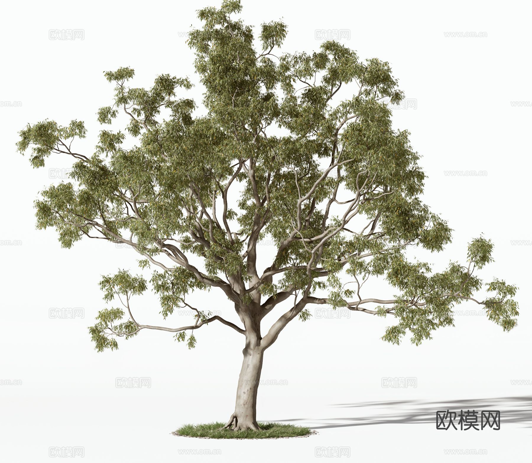 现代树木 景观树 乔木 灌木 绿植 盆栽3d模型下载