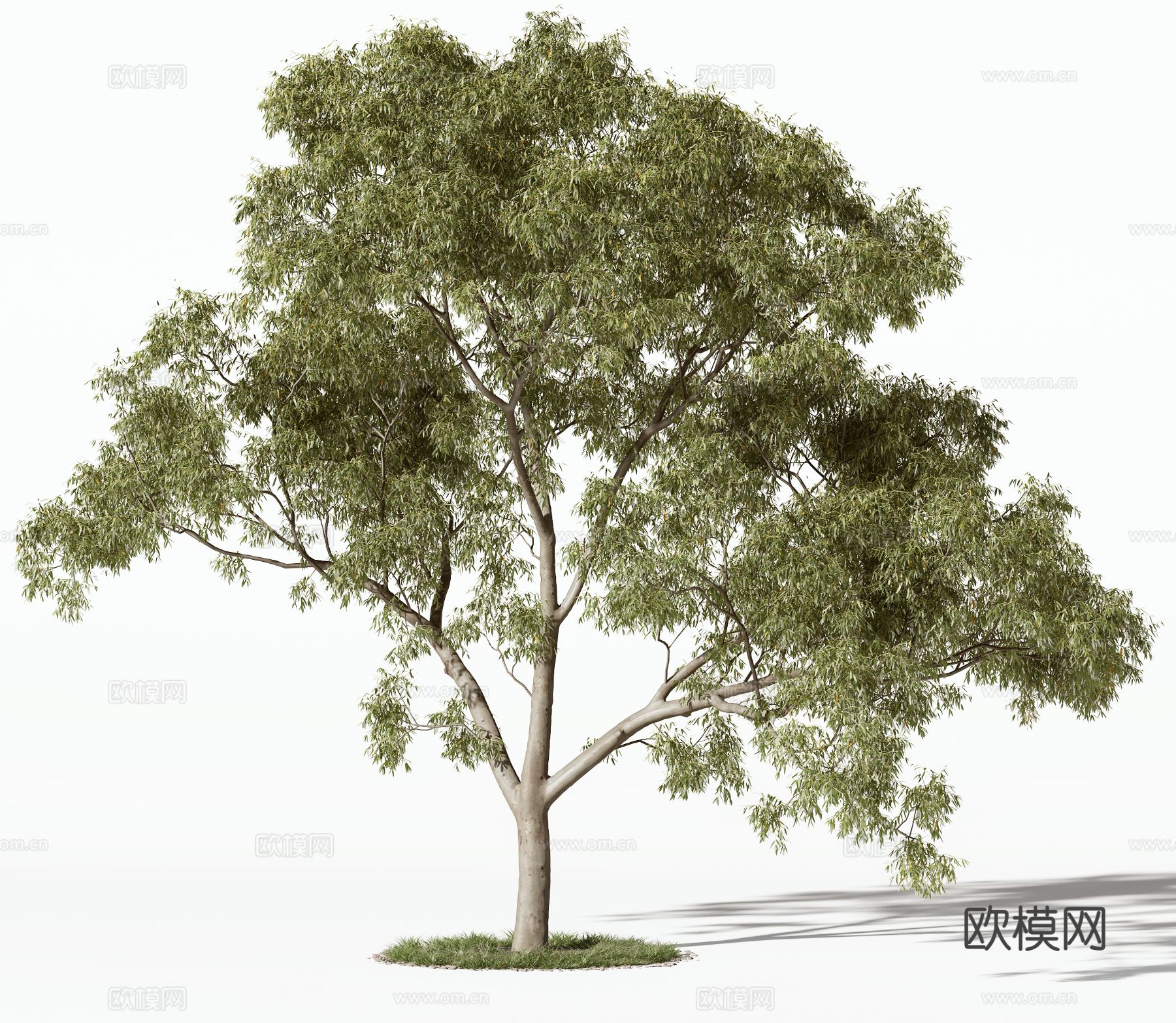 现代树木 乔木 景观树 灌木 树木 绿植 植被3d模型下载