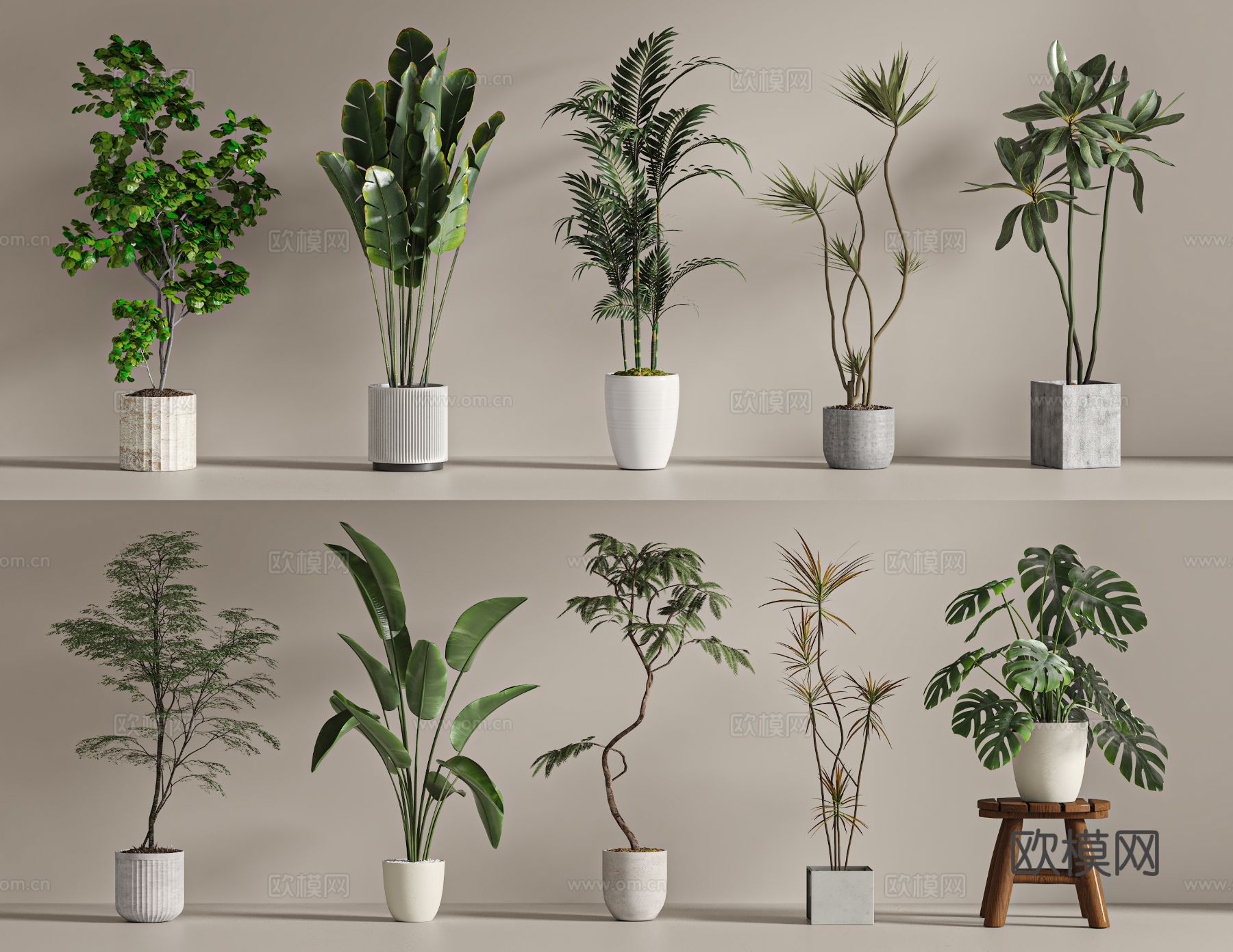 现代盆栽 绿植3d模型下载