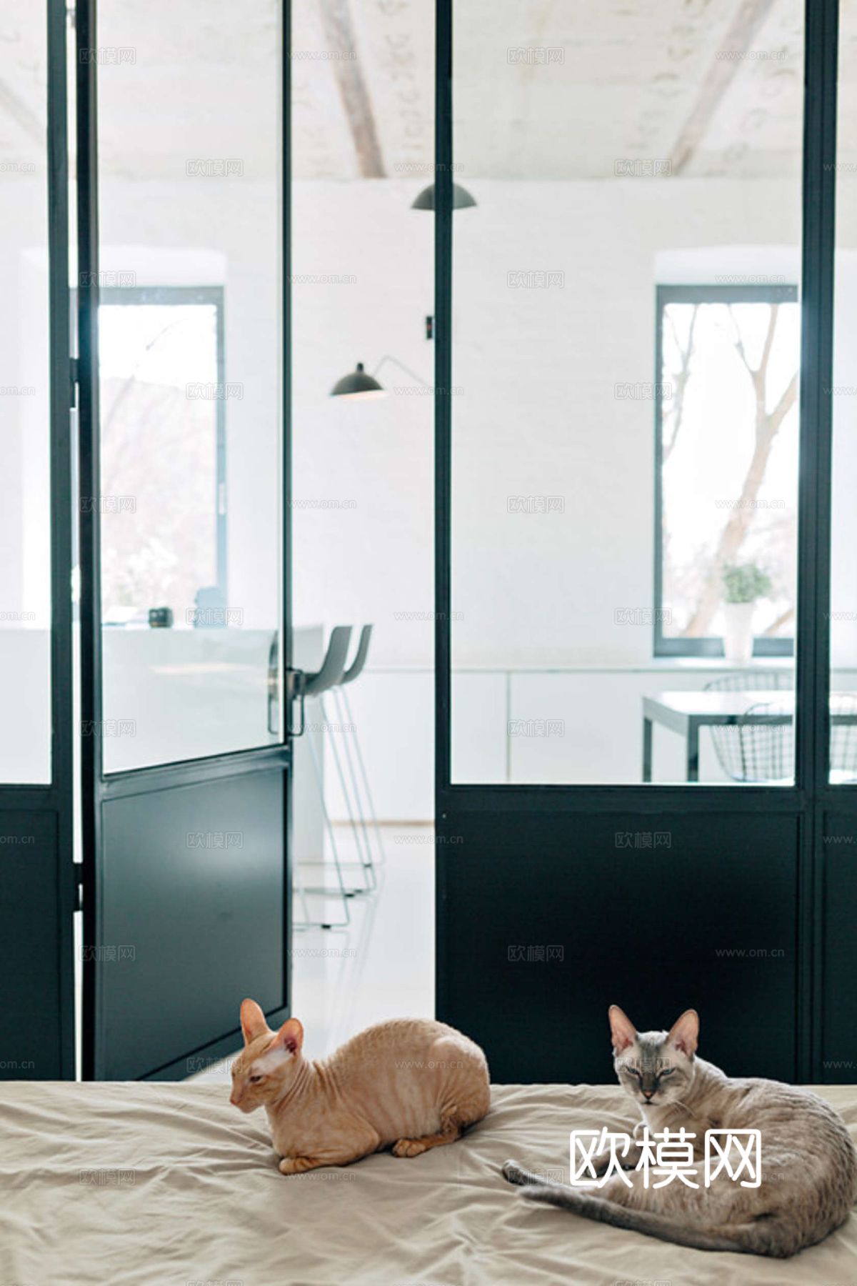 现代工业风公寓 家装设计 餐厅 客厅 卧室效果图下载（渲染图8）