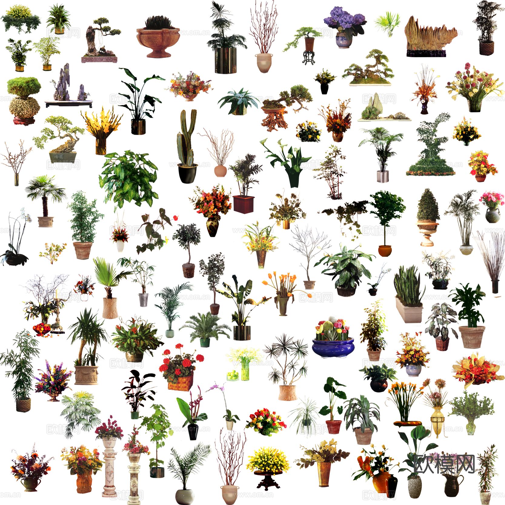 现代极简花盆_花艺_插花