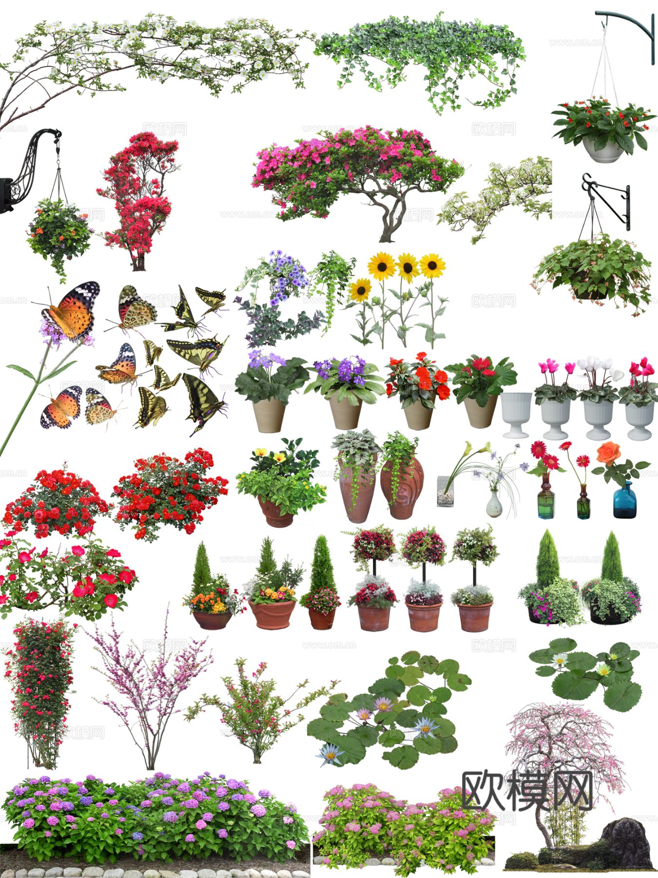 现代极简植物组合_绿化带_盆栽