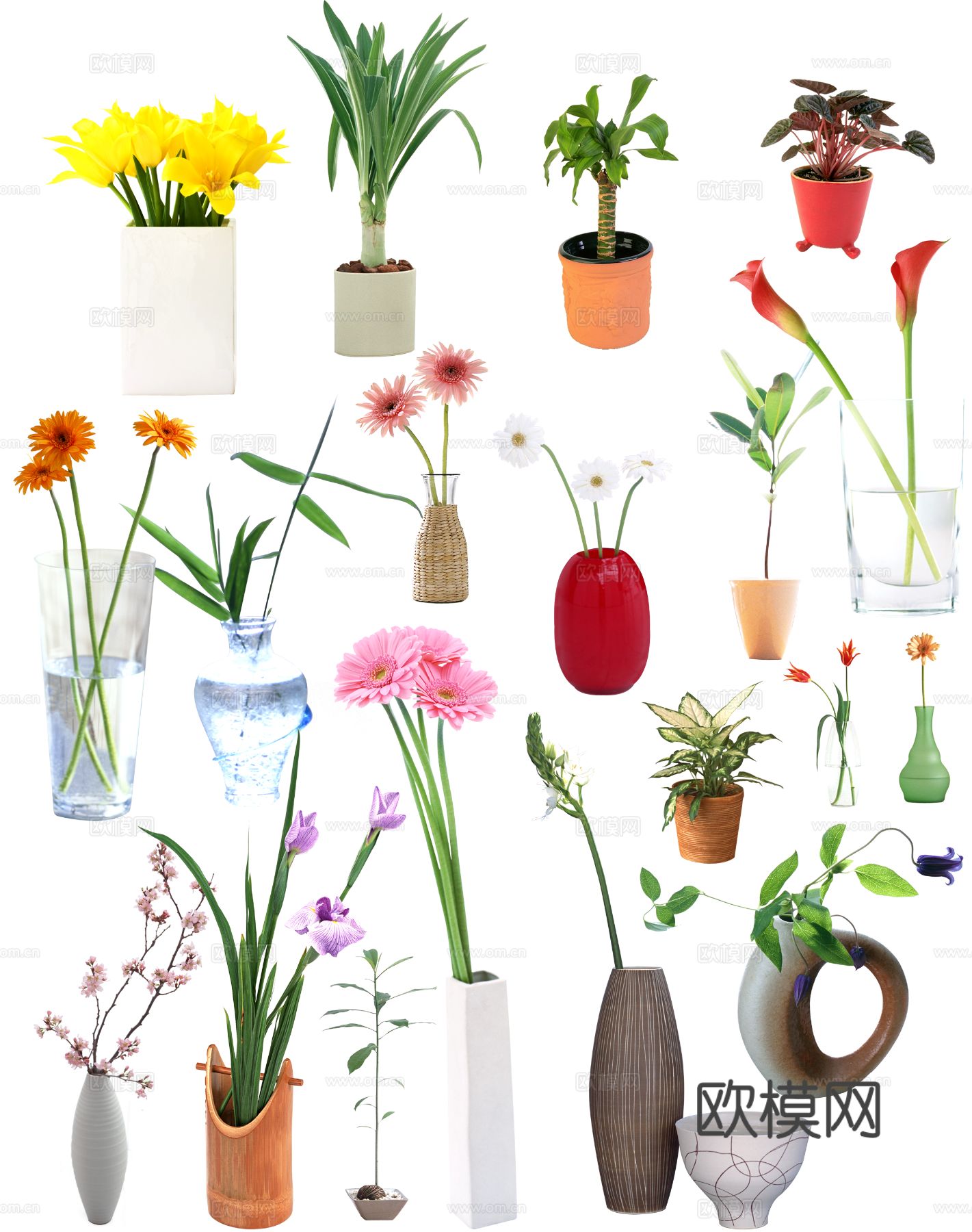 现代极简花盆_花艺