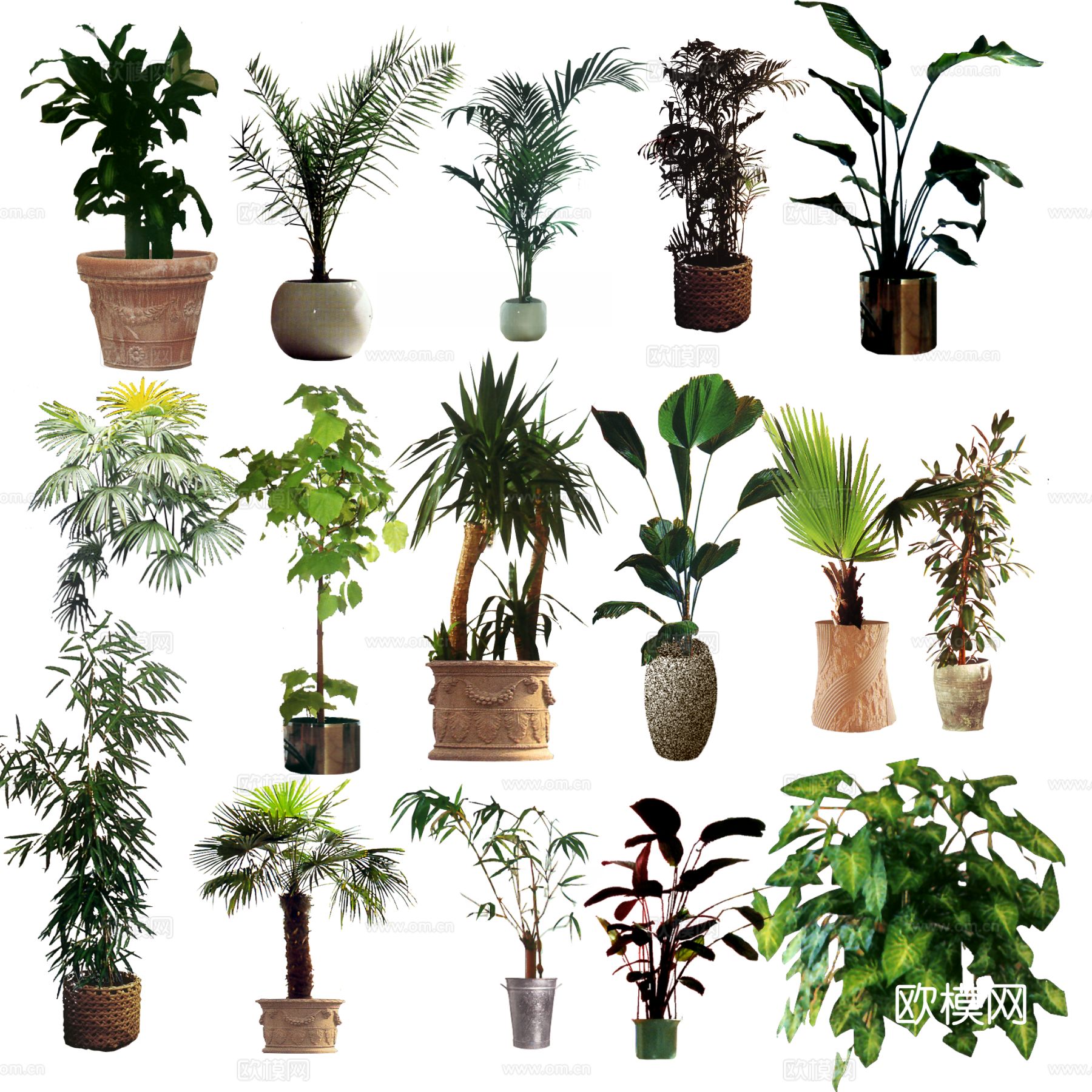 现代极简花盆_绿植_盆栽