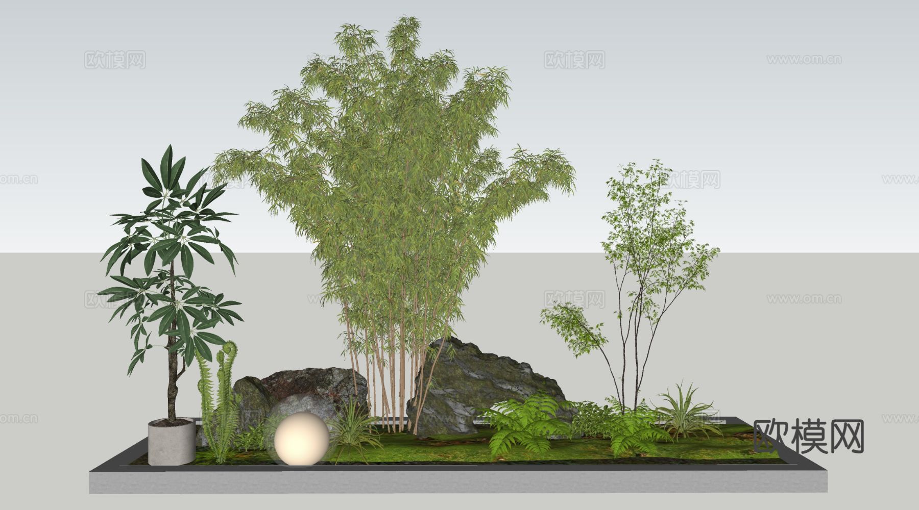 现代景观植物 植物造景 庭院植物 盆栽植物su模型