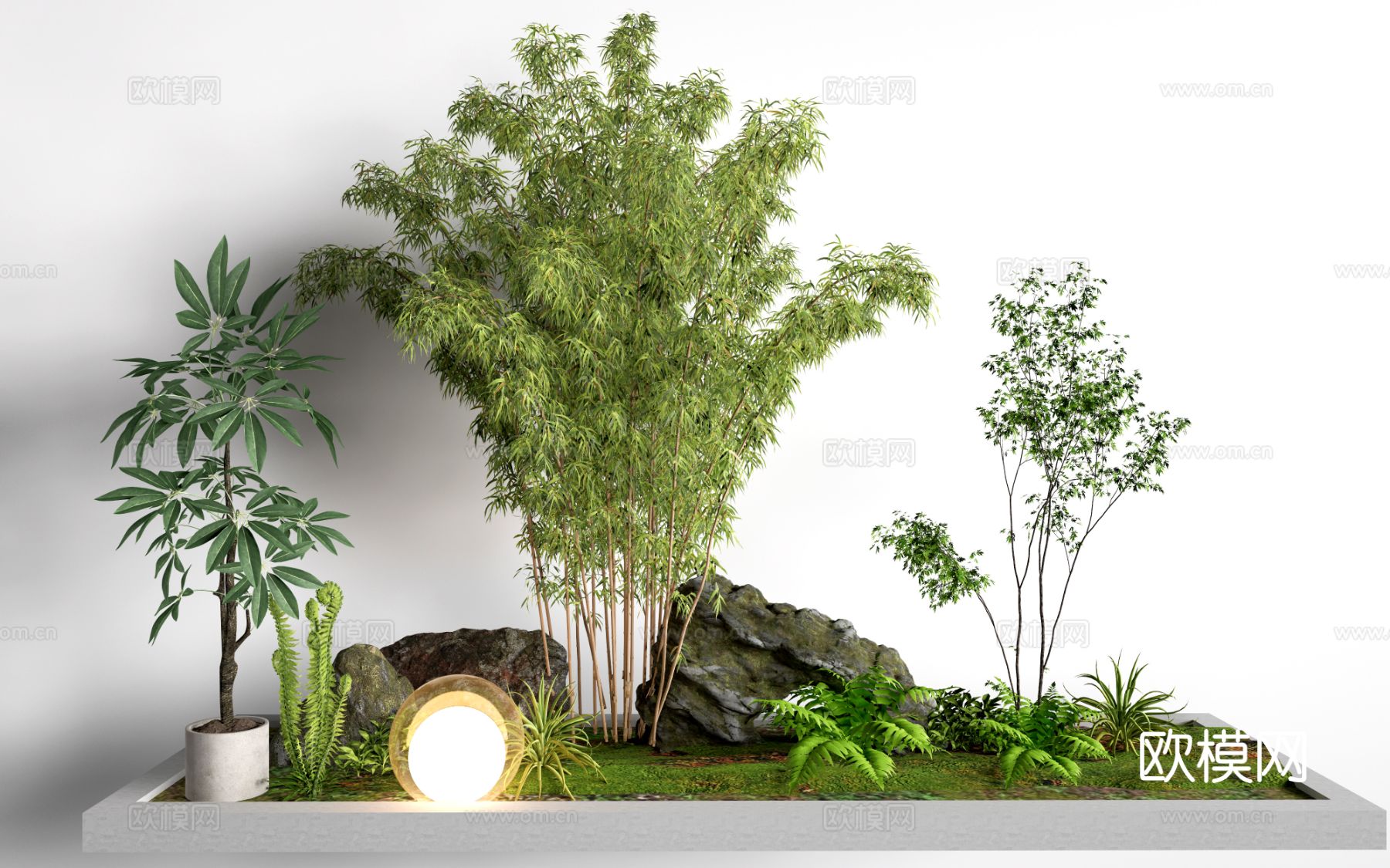 现代景观植物 植物造景 庭院植物 盆栽植物su模型