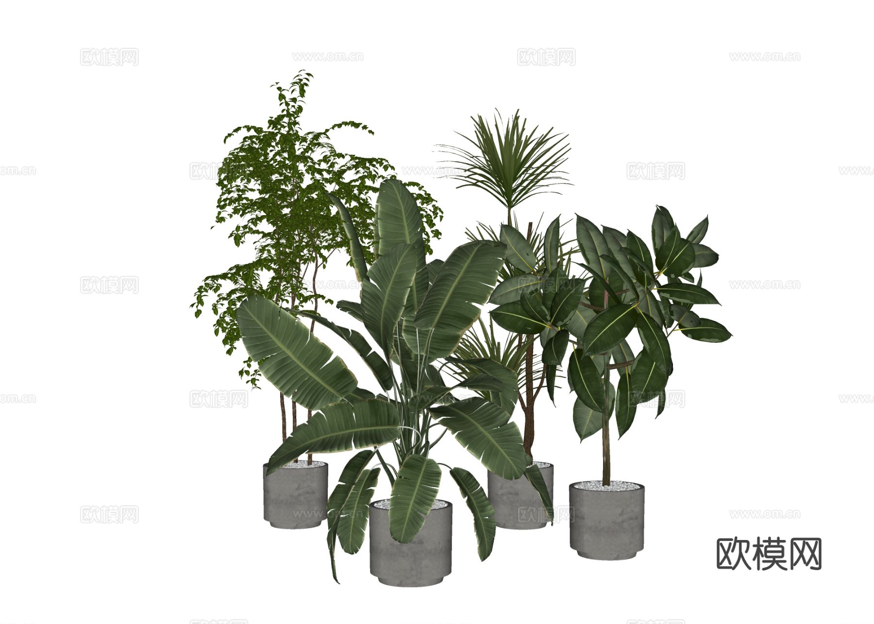 现代绿植盆栽su模型