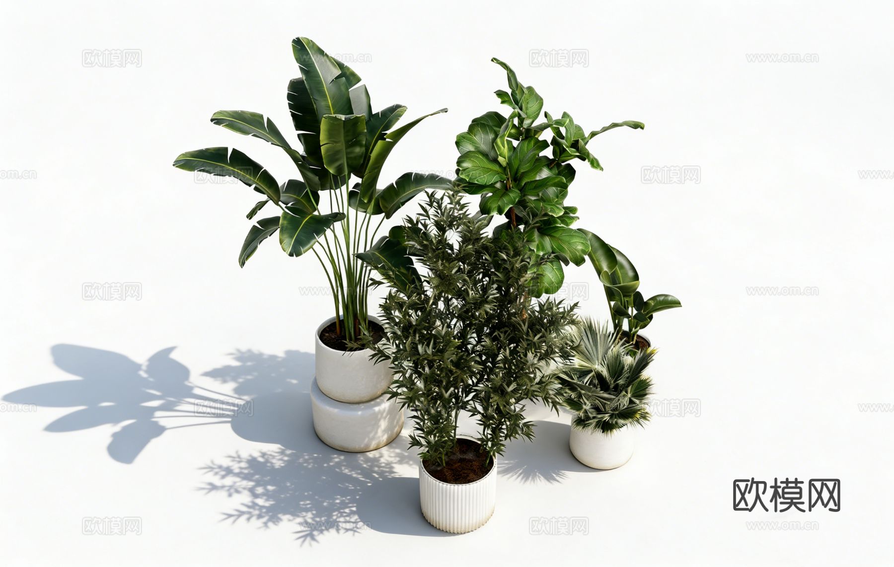 简约现代竖条纹装饰白色 陶瓷花盆 盆栽容器 琴叶榕 天堂鸟su模型