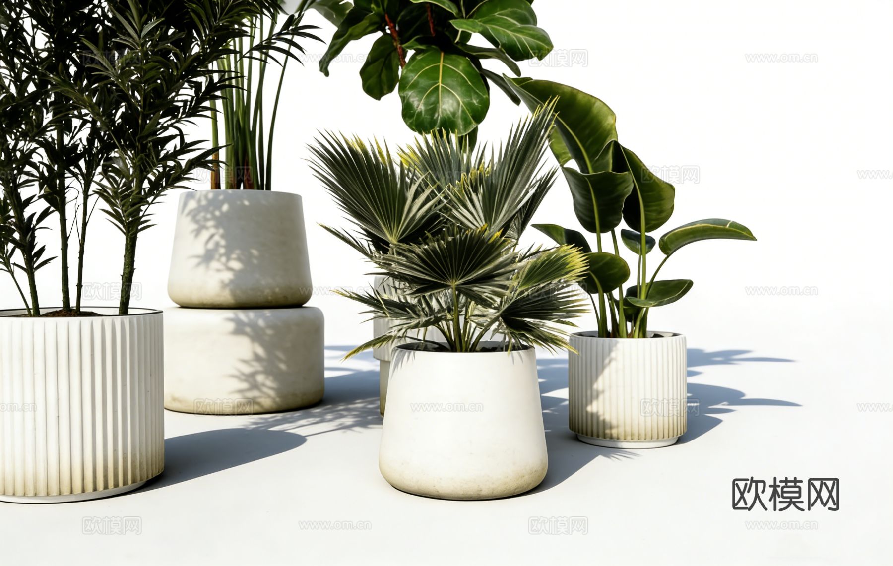 简约现代竖条纹装饰白色 陶瓷花盆 盆栽容器 琴叶榕 天堂鸟su模型