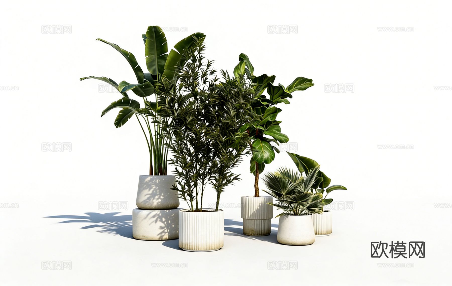简约现代竖条纹装饰白色 陶瓷花盆 盆栽容器 琴叶榕 天堂鸟su模型