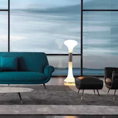 意大利MINOTTI品牌现代沙发组合