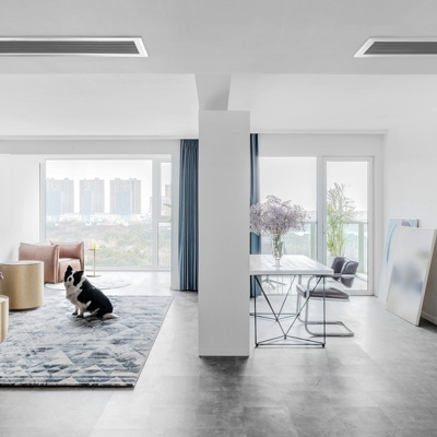 LSD河马空间设计 现代简约客厅