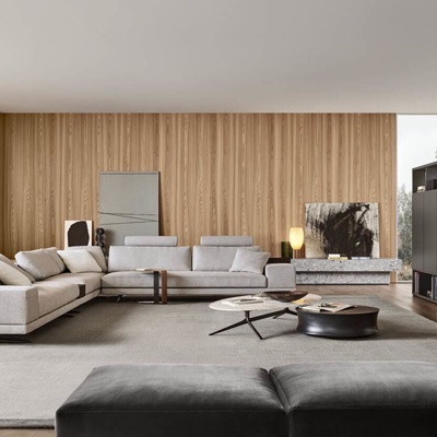 意大利Poliform品牌 现代客厅转角沙发组合