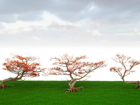  造型迎客松树 歪脖树 造型黑松su模型 