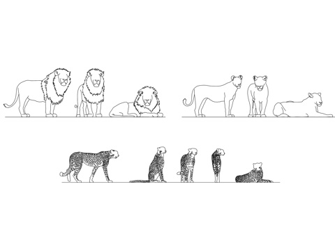  狮子 大象 长颈鹿 斑马 犀牛cad施工图 