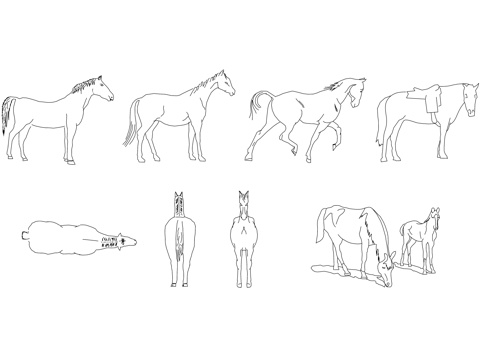 骏马多种姿势 马匹不同姿态 骏马形态 马儿动作 骏马体态cad施工图 