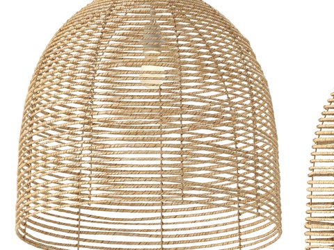  Beehive 编织灯罩吊灯3d模型 