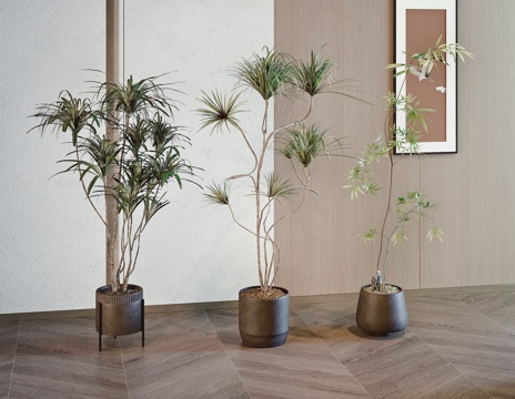  现代绿植盆栽su模型 