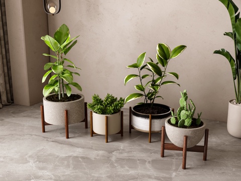  现代绿植盆栽组合3d模型 