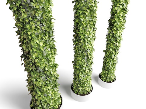  现代绿植柱 植物柱 竹子 藤蔓 爬山虎 爬墙虎 爬藤 绿篱3d模型 