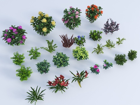  现代花卉 现代灌木 绿化带灌木 花朵 灌木绿篱 灌木丛 灌木3d模型 