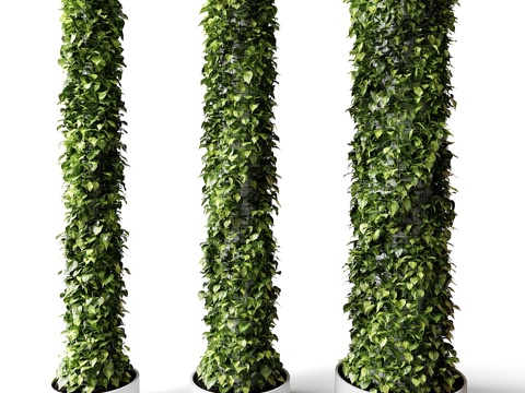  现代绿植柱 植物柱 竹子 藤蔓 爬山虎 爬墙虎 爬藤 绿篱3d模型 