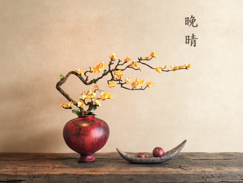  新中式腊梅 腊梅花瓶 花艺 插花 饰品摆件 陶罐花瓶花艺 侘3d模型 