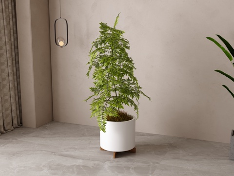  现代绿植盆栽su模型 