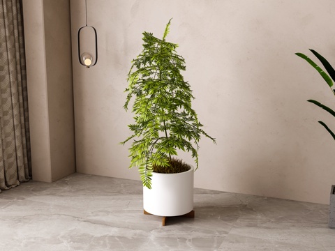 现代绿植盆栽3d模型 