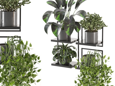  植物盆栽架3d模型 