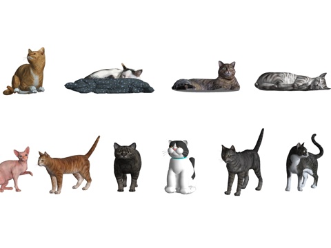  现代宠物猫 猫咪 动物su模型 