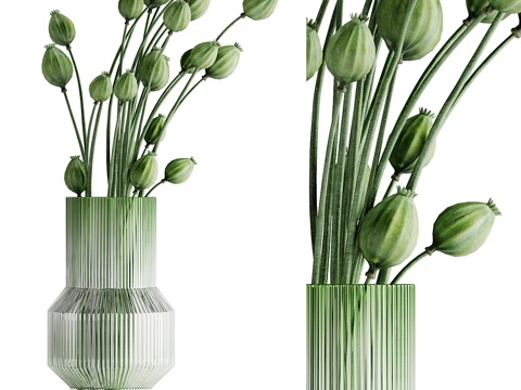  绿植水培 花瓶 花卉3d模型 