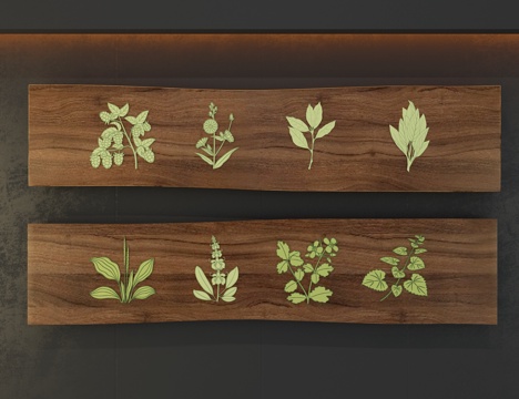  植物标本3d模型 